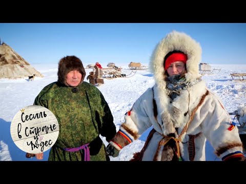 Видео: Сесиль в стране чудес. Ямал 🌏 Моя Планета