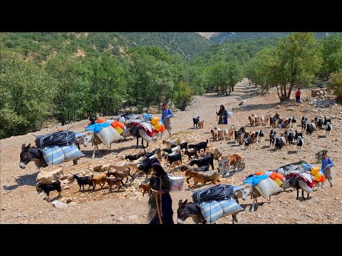 Видео: Эпическое кочевое путешествие 🐑 | Тяжёлая, но прекрасная жизнь в диких горах ⛰️