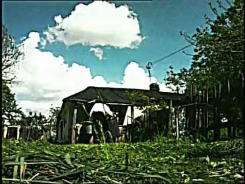 Видео: "Ясени"  исп. Андрей Великобрат