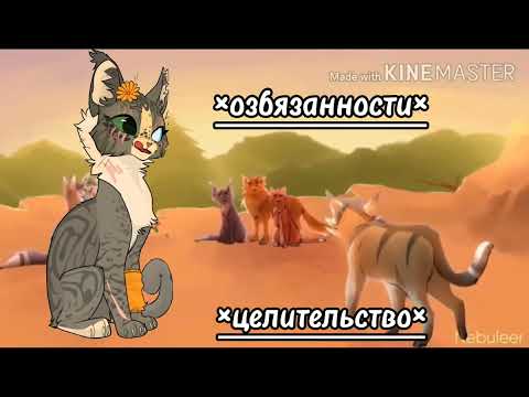 Видео: целительство и их правила