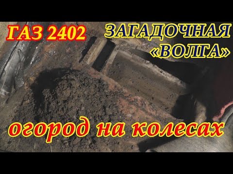 Видео: ЗАГАДОЧНАЯ "ВОЛГА" универсал ГАЗ 2402. НОВОЕ КРЫЛО И ОГОРОД В САЛОНЕ
