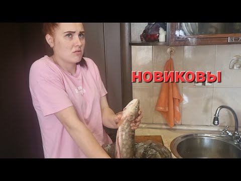 Видео: САХАЛИНСКАЯ-ЗДОРОВЕННАЯ  КУНДЖА
