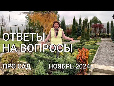 Видео: ОТВЕТЫ НА ВОПРОСЫ ПРО САД Ноябрь 2024г. Про розы, о моих собаках, тую Пирамидалис, лиственницу...