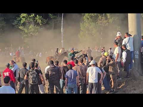 Видео: Бузкаши дар федерация Москва 7 09 2025
