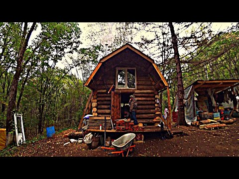 Видео: ЖДАЛИ НА РЕВУ ИЗЮБРЯ, А ПРИШЕЛ ДРУГОЙ ЗВЕРЬ)