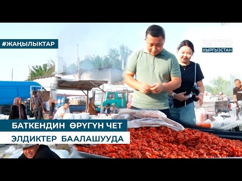 Видео: БАТКЕНДИН  ӨРҮГҮН ЧЕТ ЭЛДИКТЕР  БААЛАШУУДА