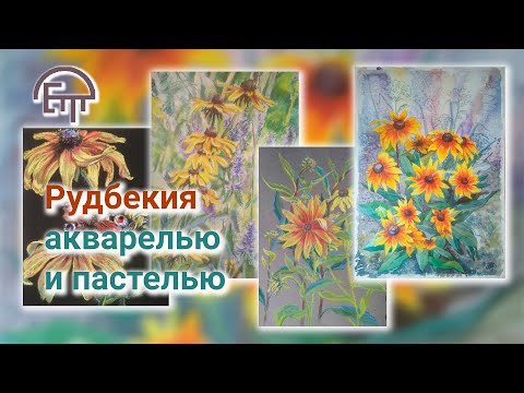 Видео: Рудбекия акварелью и пастелью