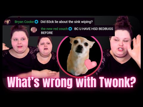 Видео: Кажется, я знаю, что не так с Твинки | Реакция Эмберлин Рид на прямую трансляцию