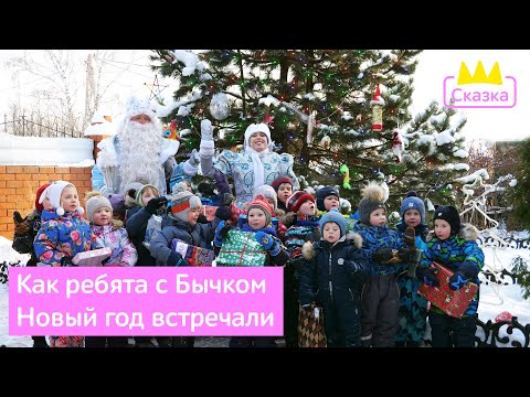 Видео: 🎄Как ребята с Бычком Новый год встречали