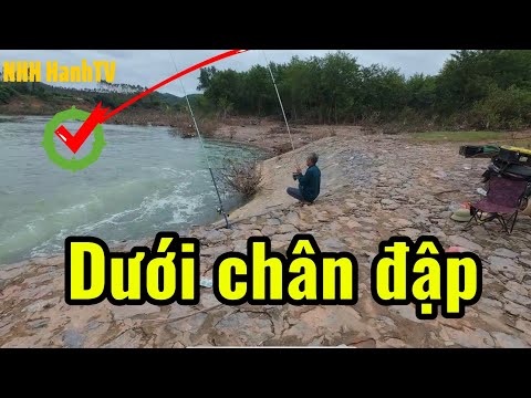 Видео: Нужно знать, как ловить рыбу | Путешествие в поисках рыболовных мест у подножия плотины | Часть 2...