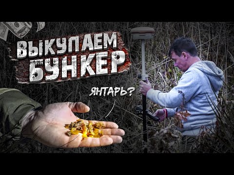 Видео: НАШЁЛ ЯНТАРЬ! ШОК НАХОДКИ КОП ТЕРРИТОРИИ!
