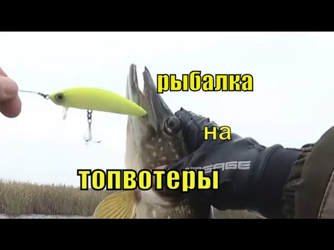Видео: ПОПАЛИ НА ВЕЧЕРНИЙ ВЫХОД ЩУКИ. РЫБАЛКА В ЖАБОВНИКЕ