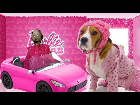 Видео: ШЕРЛОК НА ВЕЧЕРИНКЕ БАРБИ С БАБУШКОЙ. БРОС ШОУ ПЕТ