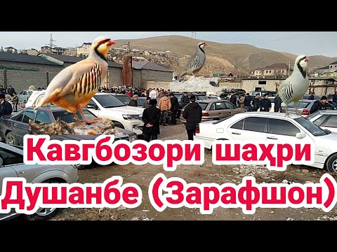Видео: Кабкбозори шаҳри Душанбе маҳаллаи (Зарафшон) 15. 01 2022