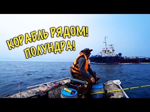 Видео: НАС ЧУТЬ НЕ СБИЛ КОРАБЛЬ В МОРЕ | Рыбалка на лодке