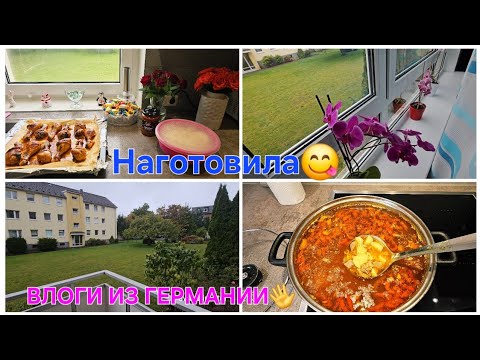 Видео: VLOG🇩🇪/ Мариную мясо/ Придумала вкусный суп😋/ Мои цветочки🌸/ Погода на Севере Германии