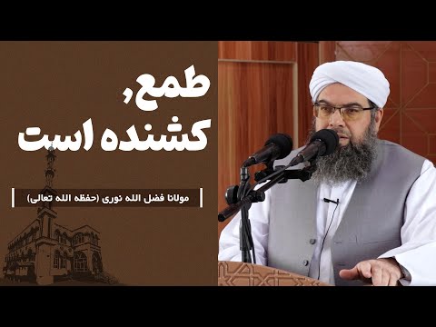 Видео: طمع, کشنده است | Ҳирс марговар аст.