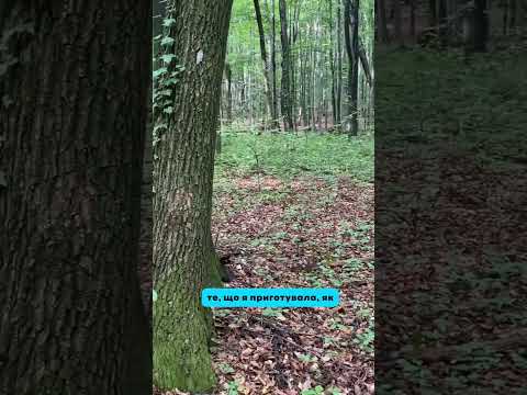 Видео: Каже зачекати