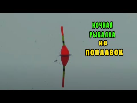 Видео: КРУПНЫЙ КАРАСЬ на ПОПЛАВОК НОЧЬЮ.  РЫБАЛКА в темноте, ПОКЛЕВКИ КРУПНЫМ ПЛАНОМ.