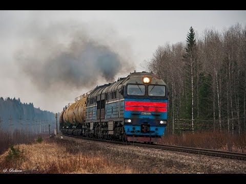 Видео: 2ТЭ116У-0036 и 2ТЭ116У-0145 (Тикопись) / 2TE116U-0036 and 2TE116U-0145 (RZD, Kingisepp)