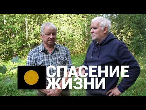 Видео: Почему физический труд и естество природы спасает нашу жизнь?