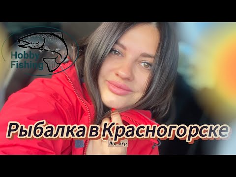 Видео: Ловля форели. Красногорск