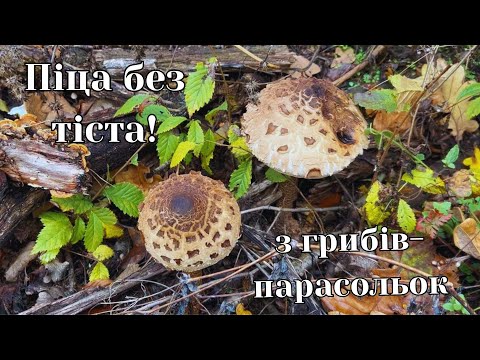 Видео: Піца з грибів-парасольок — смачно, просто і без тіста! Такого ви ще не куштували!