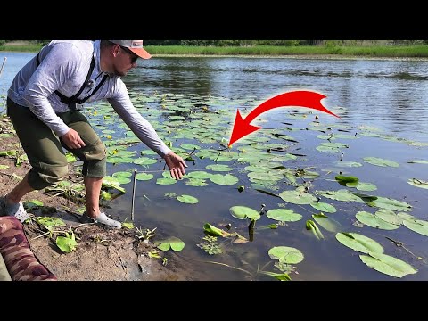 Видео: РИБАЛКА НА РЕЗИНКУ! Ловлю рибу як в дитинстві!