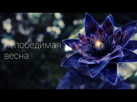 Видео: Непобедимая весна