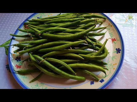 Видео: Летний супчик со  стручковой фасолью Делаю квас.