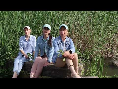 Видео: Тріо"Любисток" - "Не продається хата батьків"