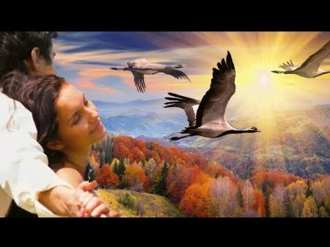 Видео: Не бывает