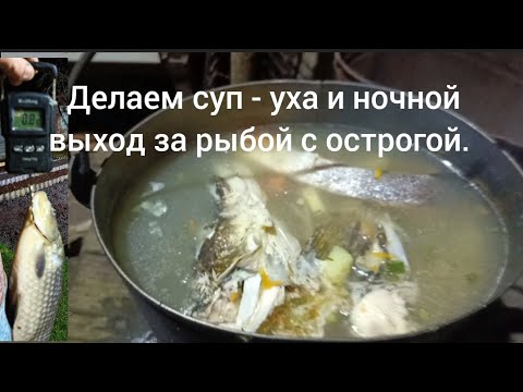 Видео: Делаем суп - уха и ночной выход с острогой. 