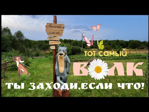 Видео: Жил был пёс, и тот самый волк.