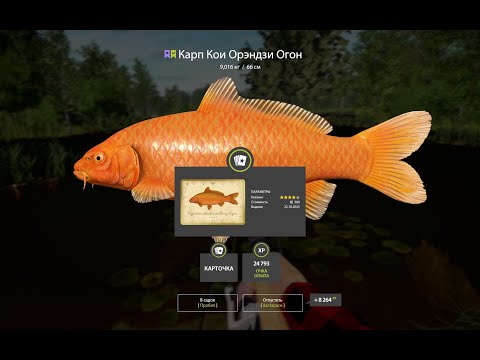 Видео: 3000 СЕРЫ ЗА 3 ЧАСА, ЛЕГЕНДАРНАЯ РАЗДАЧА ФАРМА НА МЕДНОМ ОЗЕРЕ, ОБЗОР ВОДОЕМОВ РУССКАЯ РЫБАЛКА 4 РР4