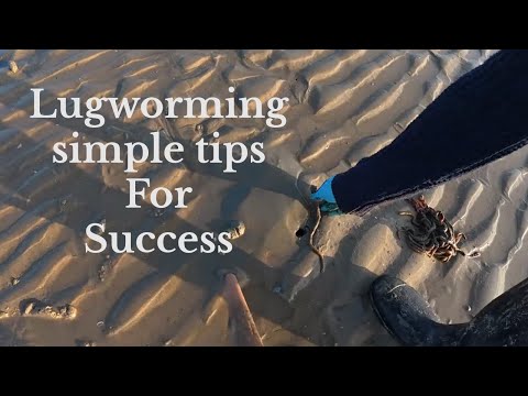 Видео: Простые советы для достижения успеха в борьбе с гельминтозами