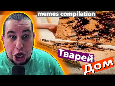 Видео: МАНУРИН СМОТРИТ UNUSUAL MEMES COMPILATION VOL 33 - РЕАКЦИЯ MANYRIN МЕМЕС ПРИКОЛЫ #reaction