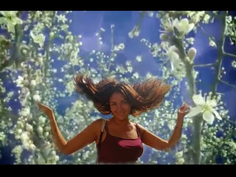 Видео: Ты вошла в мою Жизнь как весна! (авт. Олесь Счастливый)