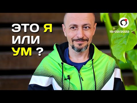 Видео: Как отличить Ум от Себя? Андрей Тирса. Просветление. Пробуждение.