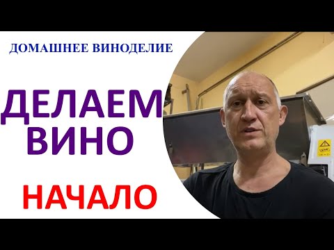 Видео: Трудовые будни гаражного винодела или откуда в Подмосковье Пино Гри и Шираз