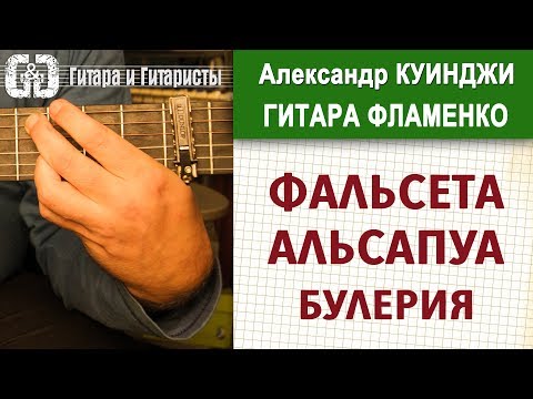 Видео: Испанская гитара фламенко. Урок 23. (Не Дидюля) Альсапуа как у Пако