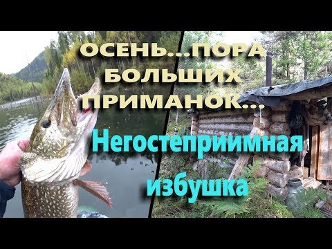 Видео: Осень, пора больших приманок! Негостеприимная избушка!!! Реальная рыбалка