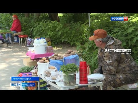 Видео: В Новочебоксарске началось благоустройство мини-рынка