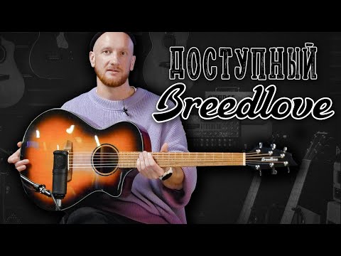 Видео: Доступные гитары Breedlove не из Америки