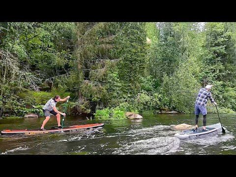 Видео: Оредеж. Похоже, самая красивая река Ленобласти.