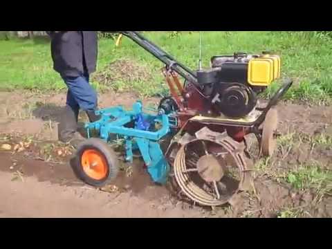 Видео: картофелекопалка ККМ 1 с мотоблоком КАСКАД  КИРОВ