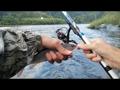 Видео: Рыбалка на ХАРИУСА и ЛЕНКА. Хариус разгрызает ФИОЛЕТОВУЮ ШВАБРУ. Река КАТЭН. Рыбалка - отдых.