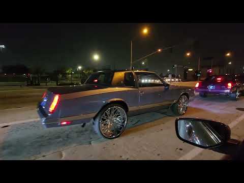 Видео: Хозяин или угощение на улице