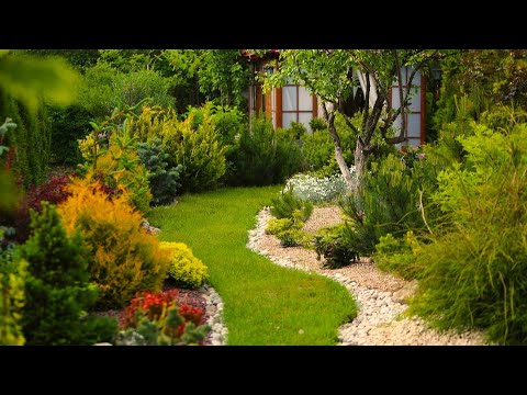 Видео: Вдохновляющие идеи для загородного участка / Ideas for decorating a country house