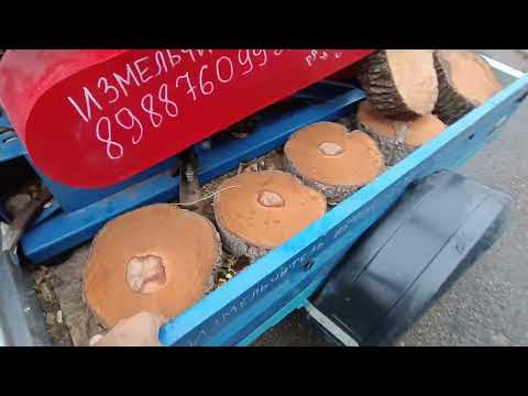 Видео: прицеп для авто за 40 тыс- пол тонны по бездорожью легко.